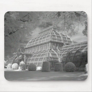 Palmenhaus Musmatta