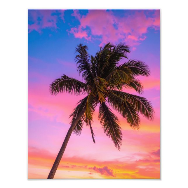 palmer fototryck (Framsidan)