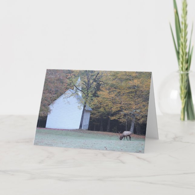 Palmer kapell och älg kort (Framsida)