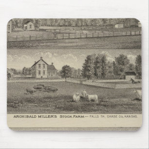 Palmer Ranch, Kansas Musmatta