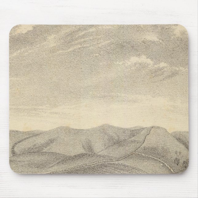 Palmer, vingård musmatta (Framsidan)