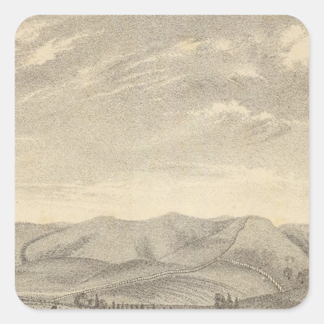 Palmer, vinodling fyrkantigt klistermärke (Framsida)