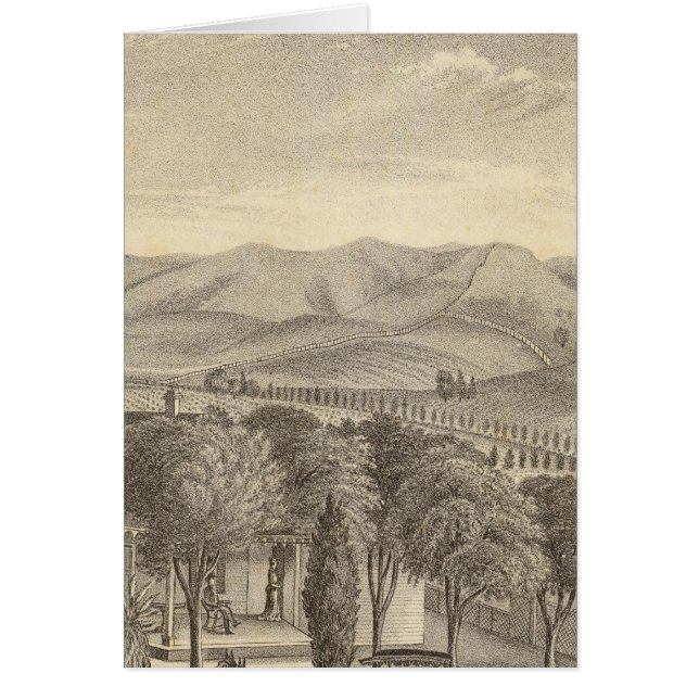 Palmer, vinodling hälsningskort (Framsidan)