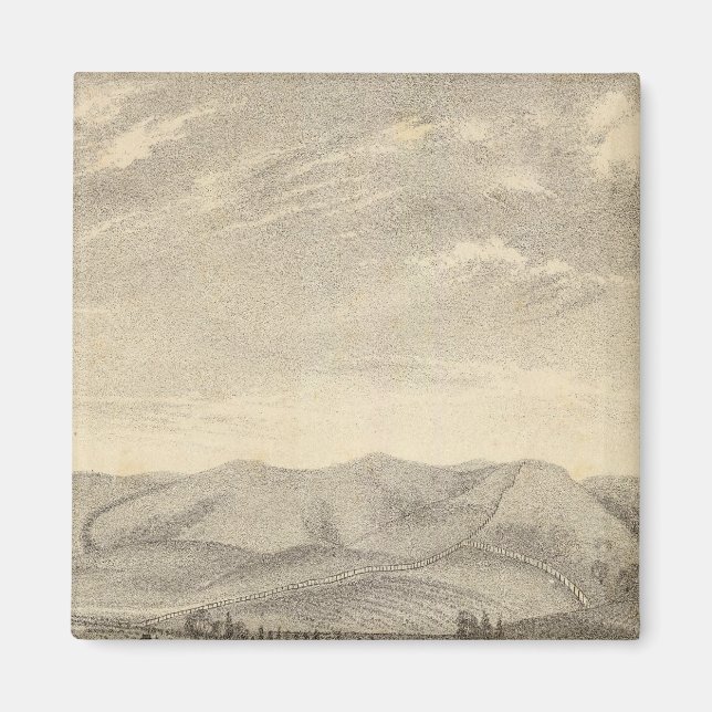 Palmer, vinodling magnet (Framsidan)