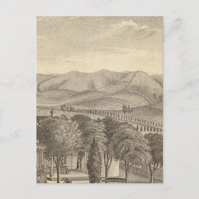 Palmer, vinodling vykort (Framsida)