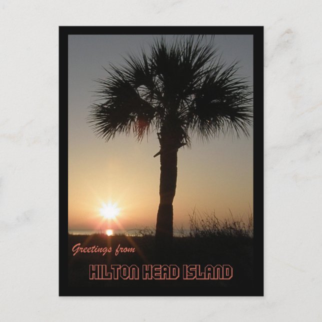 Palmetto i Dawn Vykort (Framsida)