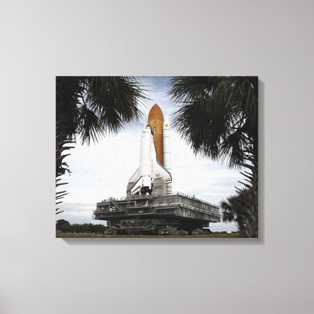 Palmetto träd ram rymdskyttel Endeavor Canvastryck (Framsida)