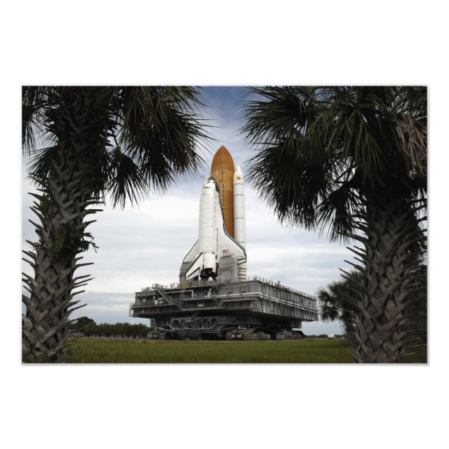Palmetto träd ram rymdskyttel Endeavor Fototryck (Framsidan)