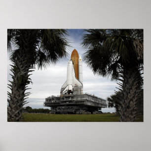Palmetto träd ram rymdskyttel Endeavor Poster