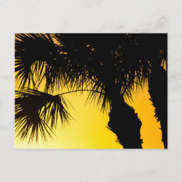 Palmetto Träd Sunrise, Port St. Lucie, FL Vykort