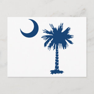 Palmetto Träd Vykort