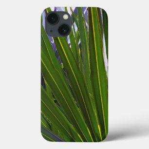 Palmetto Tropicale