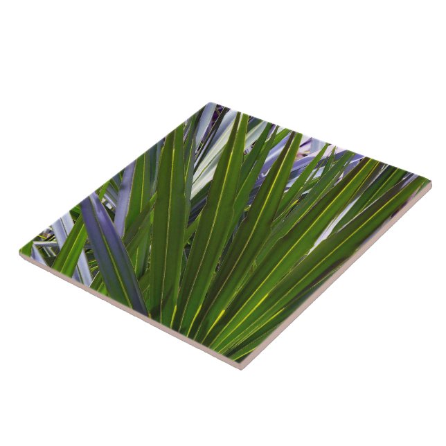 Palmetto Tropicale Kakelplatta (Sidan)