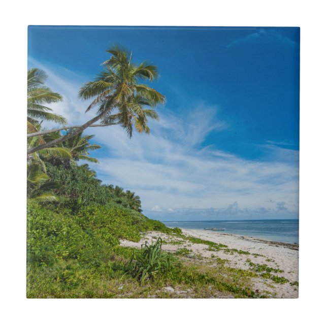 Palmfransad Kolovai-strand Kakelplatta (Framsidan)