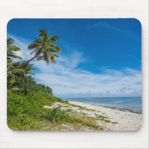 Palmfransad Kolovai-strand Musmatta