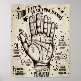 palmister poster