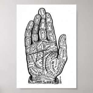 palmister poster
