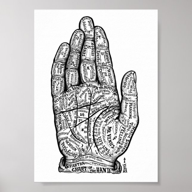 palmister poster (Framsidan)