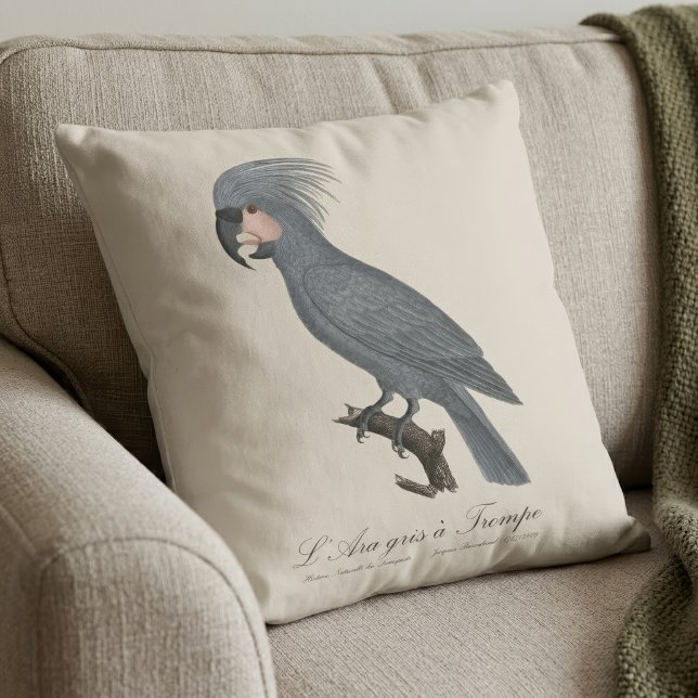 Palmkakadu, Probosciger aterrimus Kudde (Great Black Palm Cockatoo, Probosciger aterrimus. Throw Pillow)