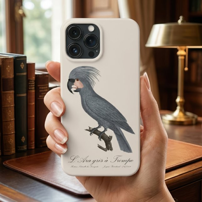 Palmkakadua, Probosciger aterrimus (Great Black Palm Cockatoo, Probosciger aterrimus. iPhone Case)