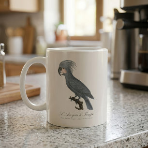 Palmkakadua, Probosciger aterrimus Kaffemugg