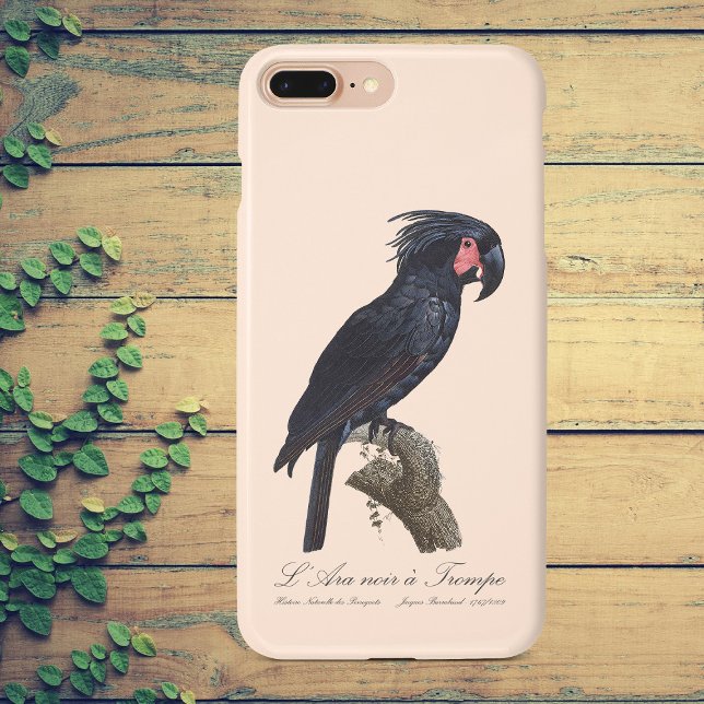 Palmkakadua, Probosciger aterrimus papegoja, retro (L' Ara Noir a Trompe / Palm Cockatoo. iPhone Case)