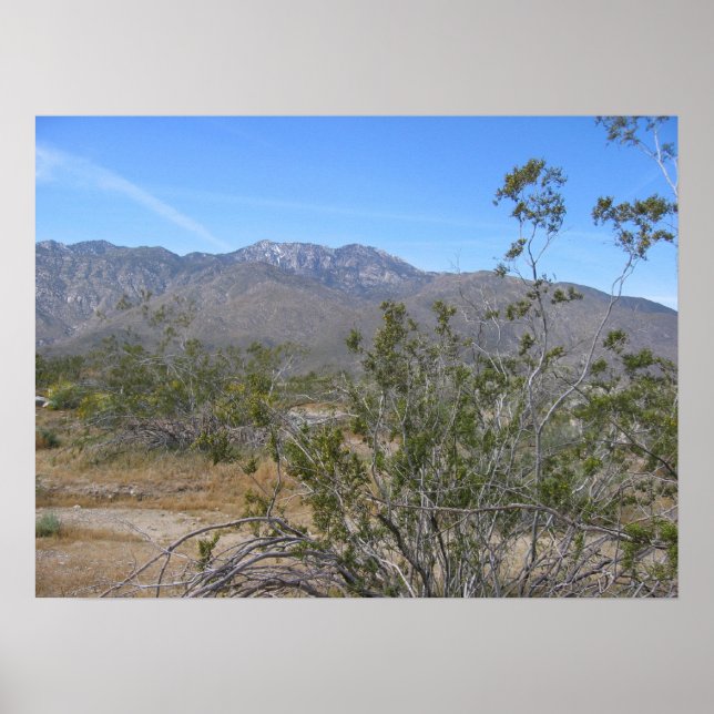 PalmSprings (26) Poster (Framsidan)