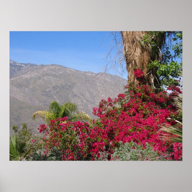 PalmSprings (4) Poster (Framsidan)