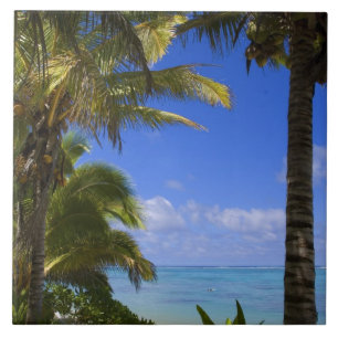 Palmstränd Cook Islands 2 Kakelplatta