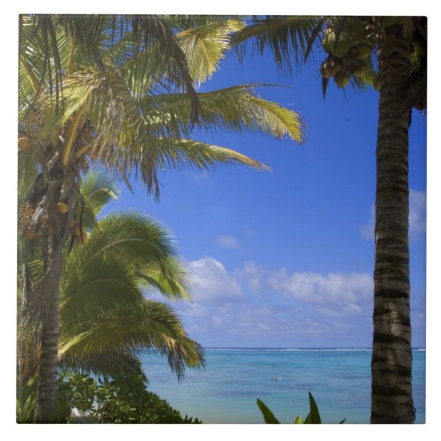 Palmstränd Cook Islands 2 Kakelplatta (Framsidan)