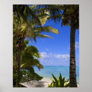 Palmstränd Cook Islands 2 Poster