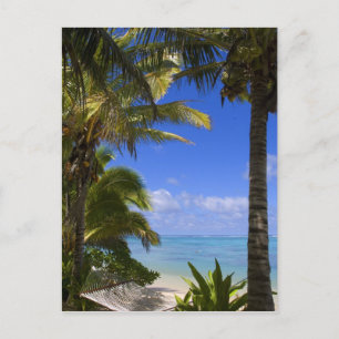 Palmstränd Cook Islands 2 Vykort