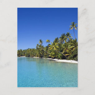 Palmstränd Cook Islands 2 Vykort
