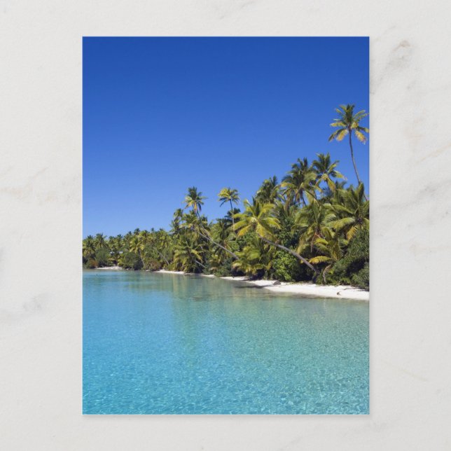 Palmstränd Cook Islands 2 Vykort (Framsida)