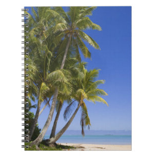 Palmstränd Cook Islands 3 Anteckningsbok
