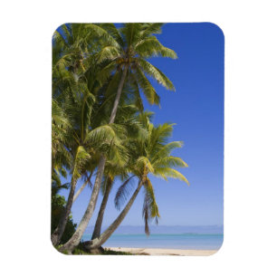 Palmstränd Cook Islands 3 Magnet