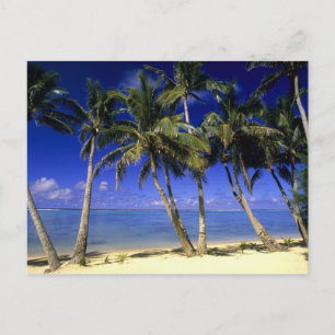 Palmstränd Cook Islands 4 Vykort