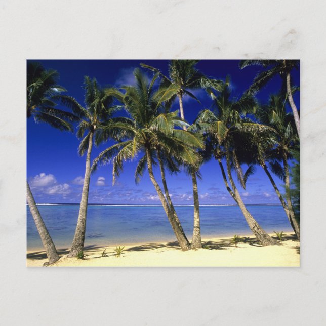 Palmstränd Cook Islands 4 Vykort (Framsida)