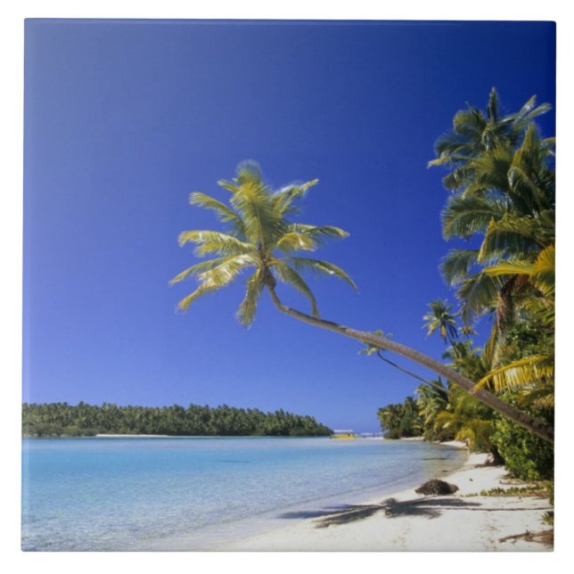 Palmstränd Cook Islands Kakelplatta (Framsidan)