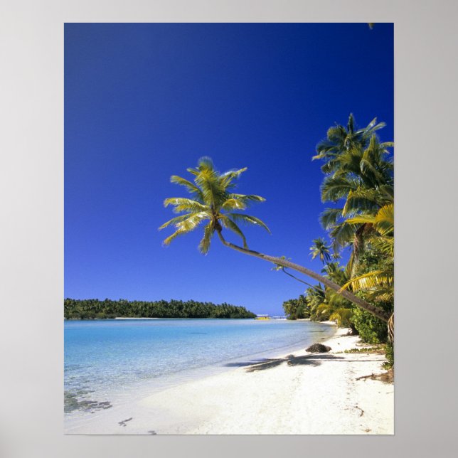 Palmstränd Cook Islands Poster (Framsidan)