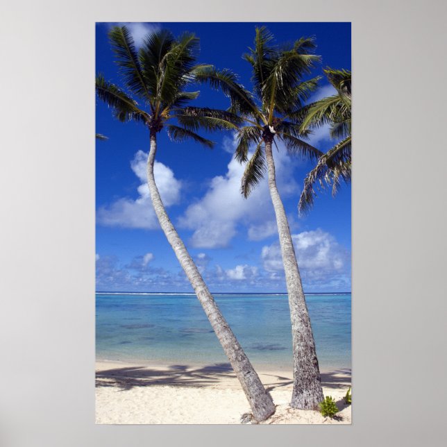 Palmstränd Cook Islands Poster (Framsidan)