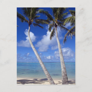 Palmstränd Cook Islands Vykort
