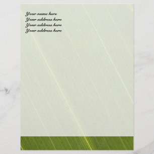 Palmträd blad brevhuvud design