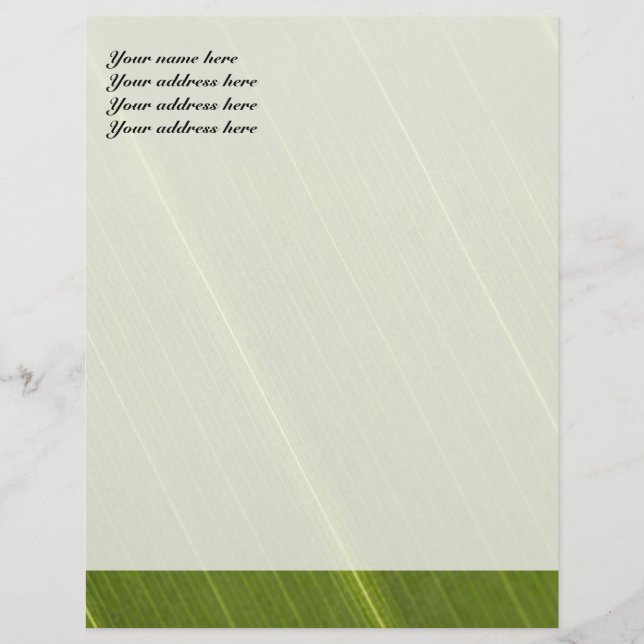 Palmträd blad brevhuvud design (Framsida)