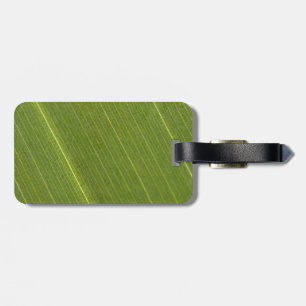 Palmträd Blad Märke För Bagage Bagagebricka