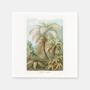 Palmträd Ernst Haeckel Pappersservett