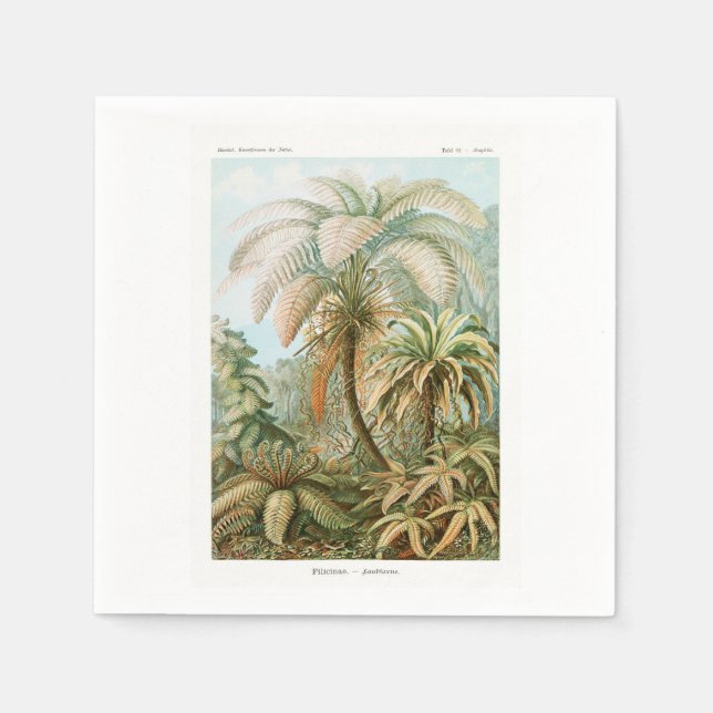 Palmträd Ernst Haeckel    Pappersservett (Framsidan)