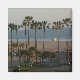 Palmträd i den Santa Monica magneten Magnet