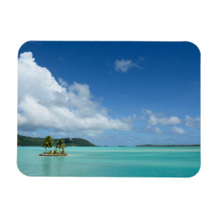 Palmträd i rektangulär magnet för Bora Bora lag