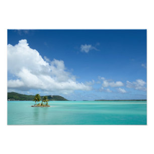 Palmträd i tryck för Bora Bora lagunfoto
